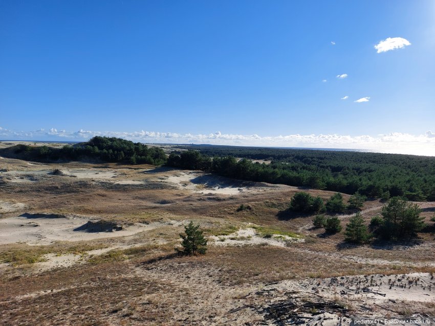 Большое Балтийское путешествие ксиомок. Часть 3 Куршская коса - Калининград в "гости к хомлинам" (фото 9)