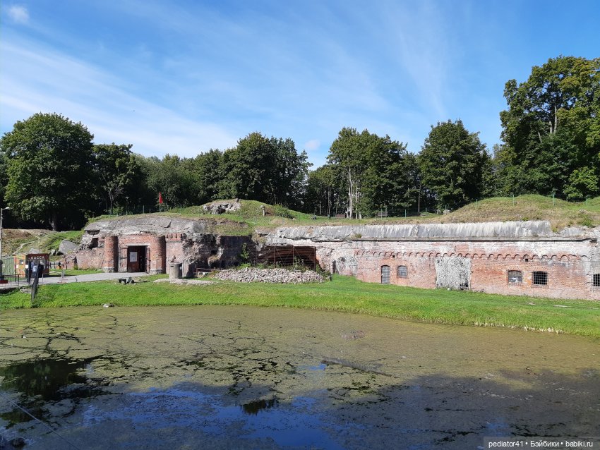 Большое Балтийское путешествие ксиомок. Часть 3 Куршская коса - Калининград в "гости к хомлинам"