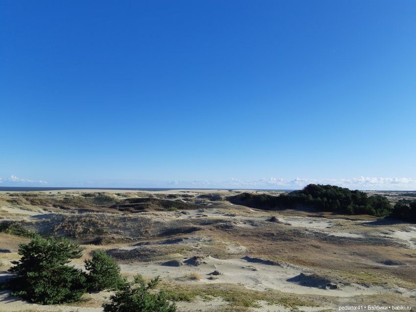 Большое Балтийское путешествие ксиомок. Часть 3 Куршская коса - Калининград в "гости к хомлинам" (фото 8)