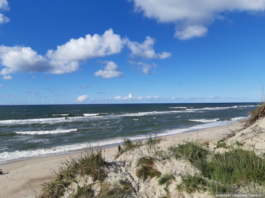 Большое Балтийское путешествие ксиомок. Часть 3 Куршская коса - Калининград в "гости к хомлинам" (фото 2)