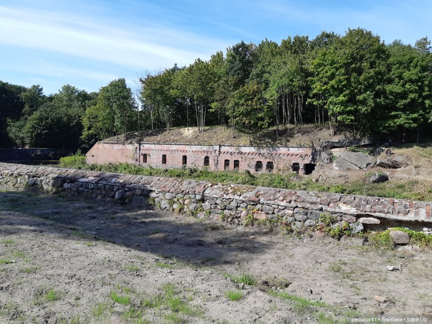 Большое Балтийское путешествие ксиомок. Часть 3 Куршская коса - Калининград в "гости к хомлинам"
