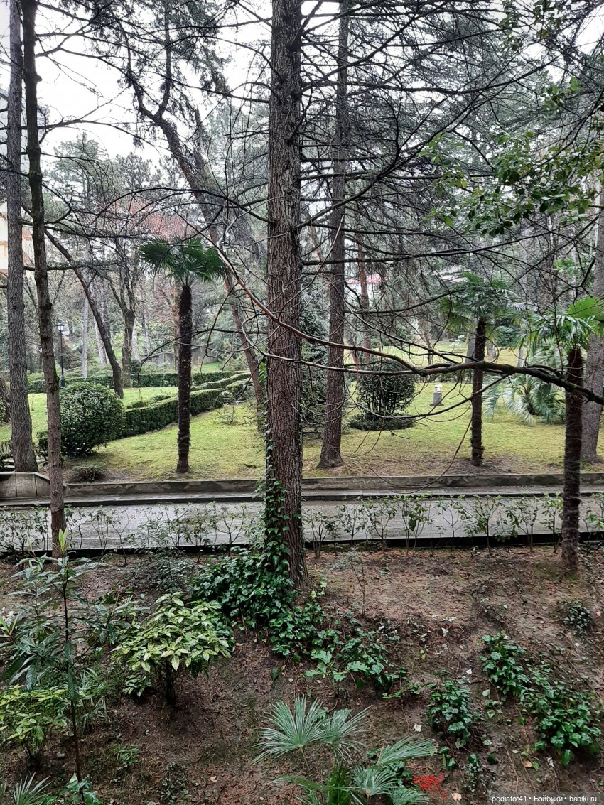 Весенние каникулы Карлы и компании. Часть первая (Солнце, море и первый дождик) (фото 10)