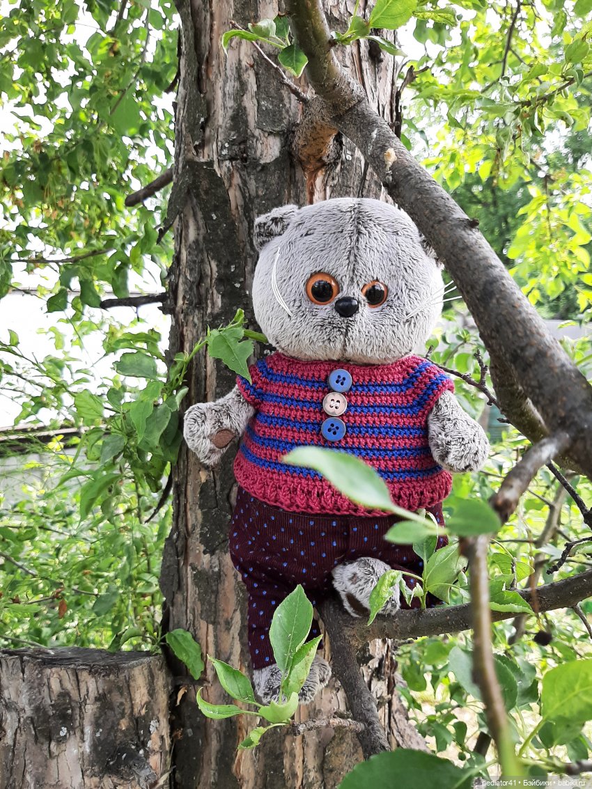 Дачная жизнь кота Басика — Кот Басик (фото 2)