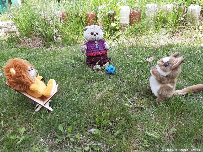 Дачная жизнь кота Басика — Кот Басик (фото 9)