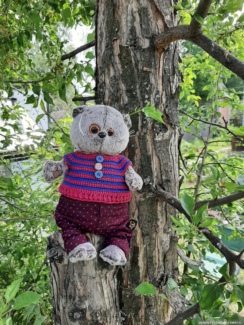 Дачная жизнь кота Басика — Кот Басик