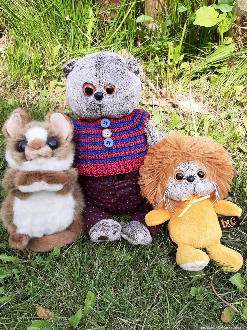 Дачная жизнь кота Басика — Кот Басик (фото 5)