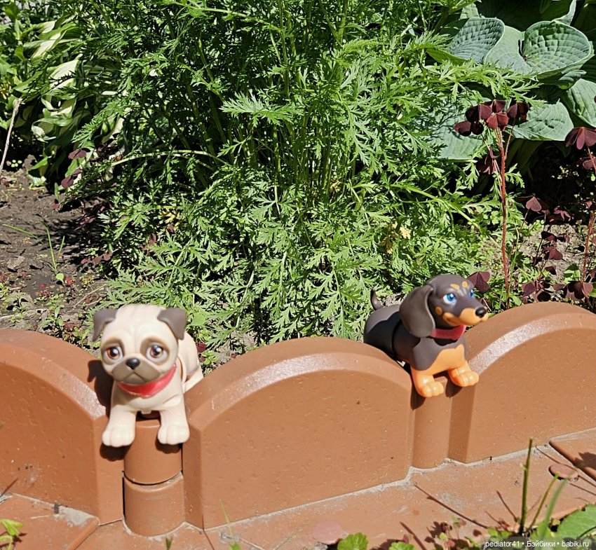 Неужели лето? (небольшая летняя история) (фото 9)