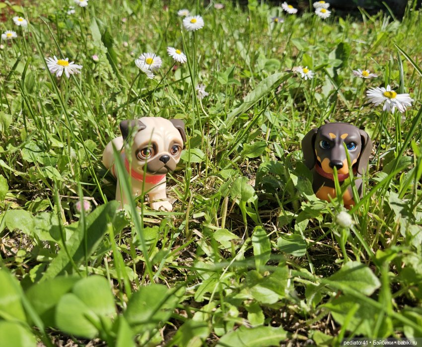 Неужели лето? (небольшая летняя история) (фото 3)