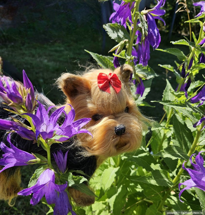 Любительница цветов — Домашние фото авторских игрушек: Тедди (фото 6)