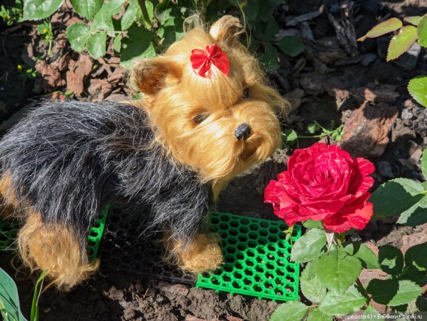 Любительница цветов — Домашние фото авторских игрушек: Тедди (фото 2)