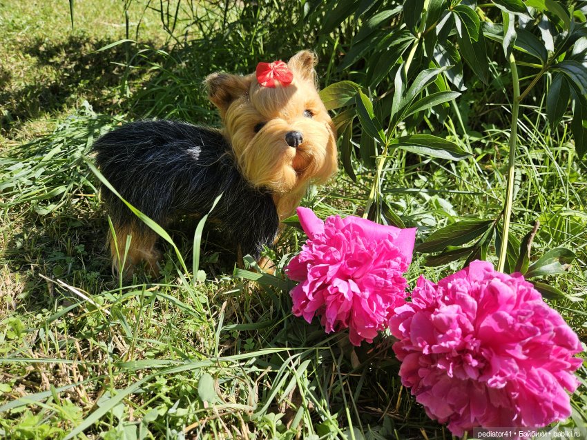 Любительница цветов — Домашние фото авторских игрушек: Тедди (фото 5)