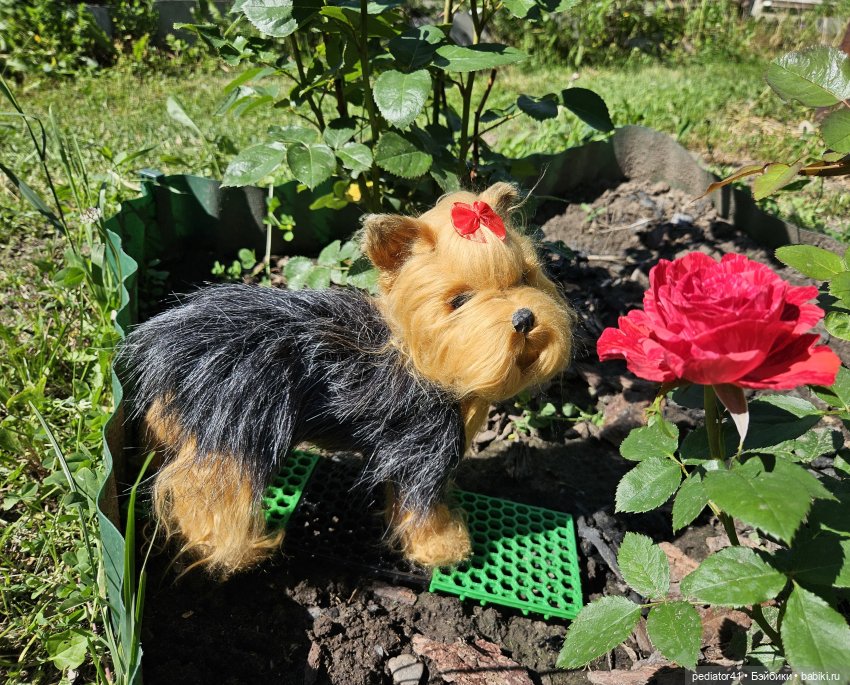 Любительница цветов — Домашние фото авторских игрушек: Тедди