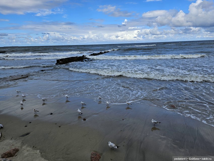Летнее турне дамы — Куклы Paola Reina (Паола Рейна): новинки (фото 9)