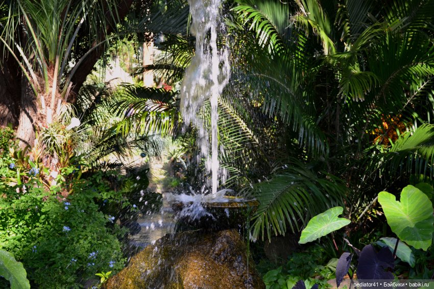 Картинки из прошлой эпохи. Две сестры. Первый бал (фото 10)