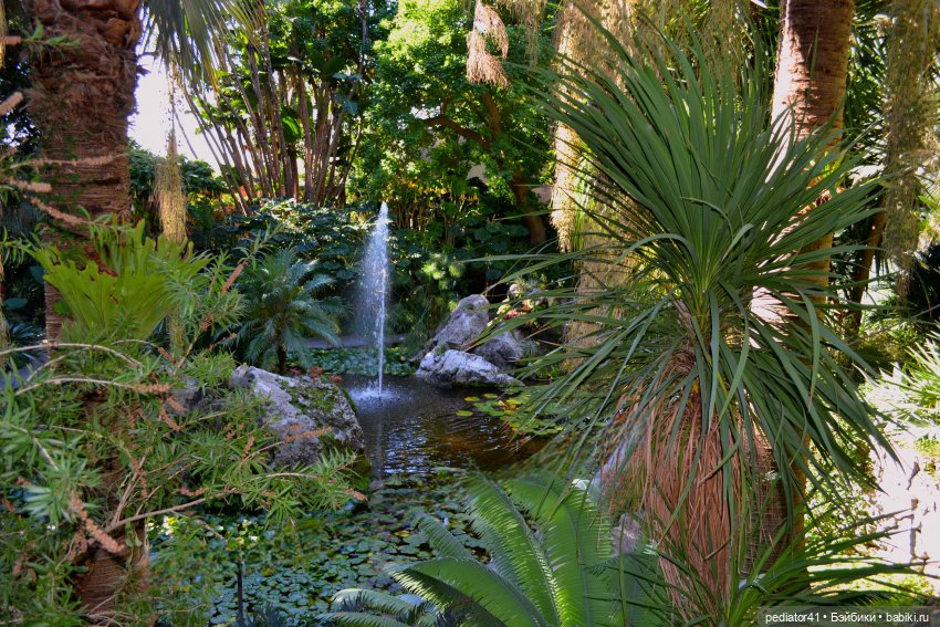 Картинки из прошлой эпохи. Две сестры. Первый бал