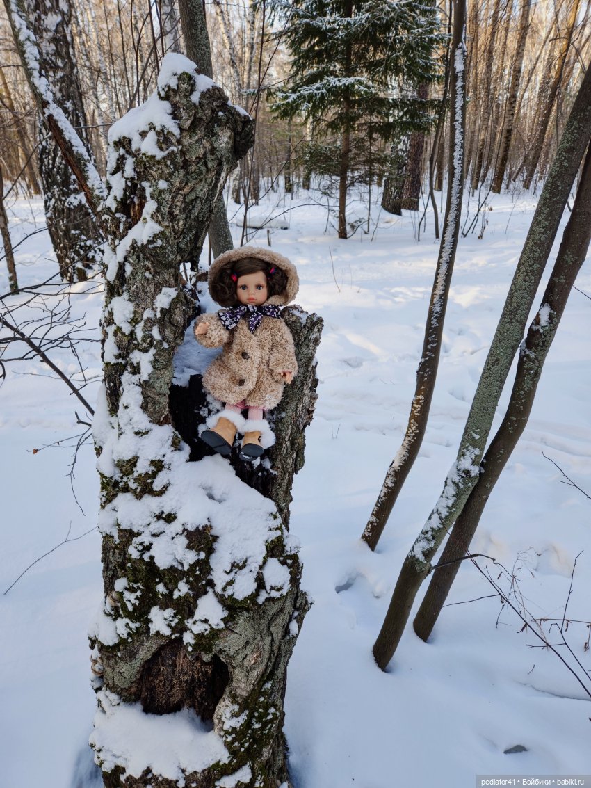 В поисках ёлки — Куклы Paola Reina (Паола Рейна): новинки (фото 8)