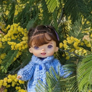 Капризы погоды. Здравствуй солнышко.