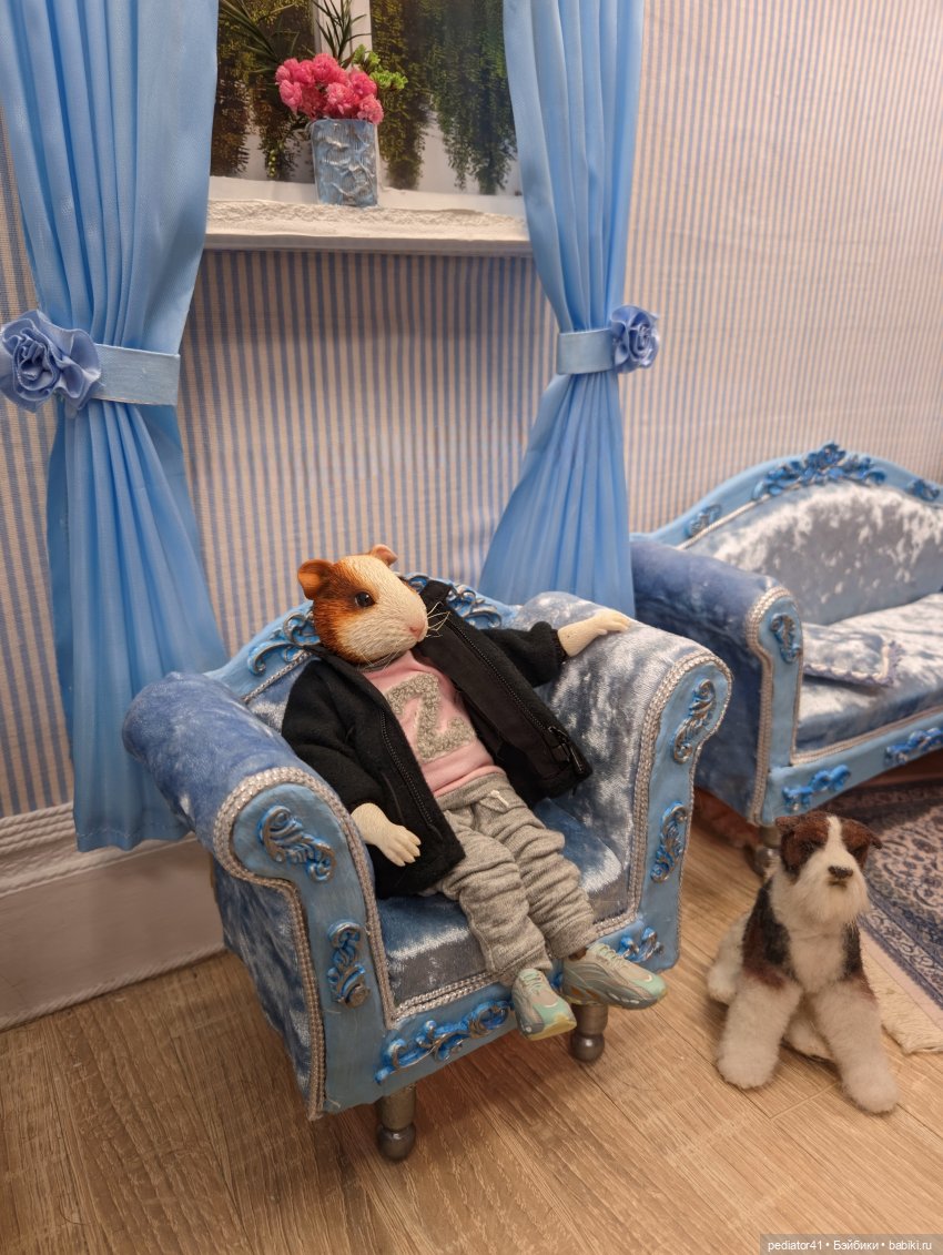 Морской свин Густав — Коллекции шарнирных