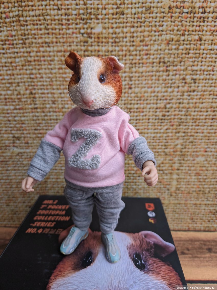 Морской свин Густав — Коллекции шарнирных (фото 7)