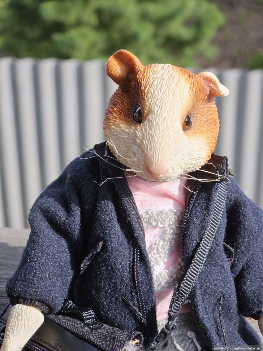 Морской свин Густав — Коллекции шарнирных