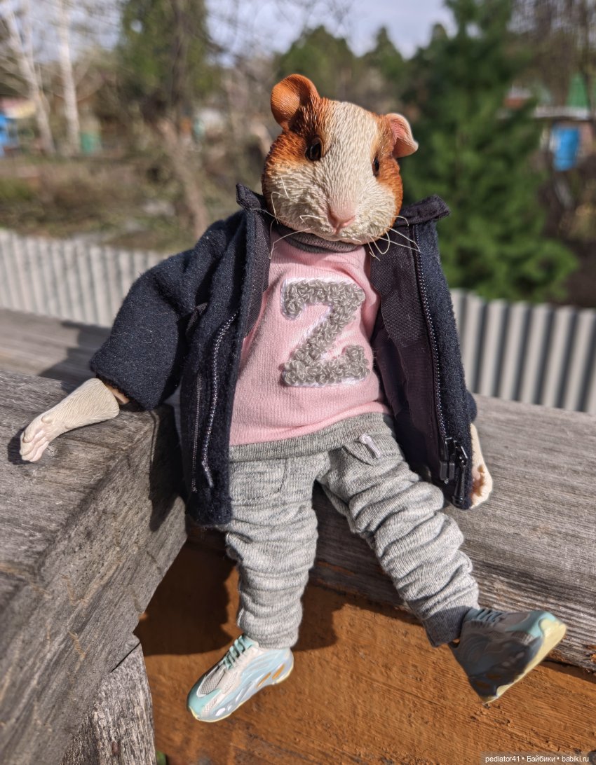 Морской свин Густав — Коллекции шарнирных