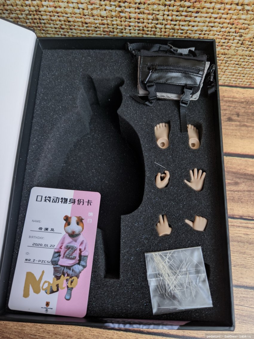 Морской свин Густав — Коллекции шарнирных (фото 4)