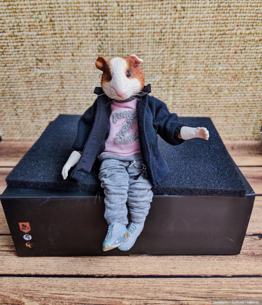 Морской свин Густав — Коллекции шарнирных (фото 8)