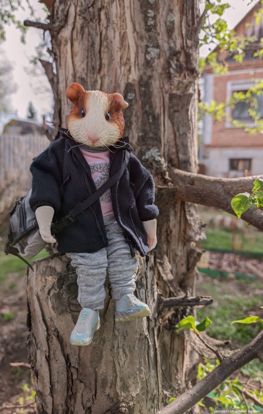 Морской свин Густав — Коллекции шарнирных (фото 9)