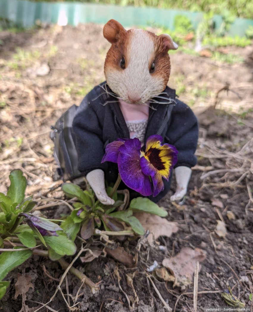 Морской свин Густав — Коллекции шарнирных (фото 10)