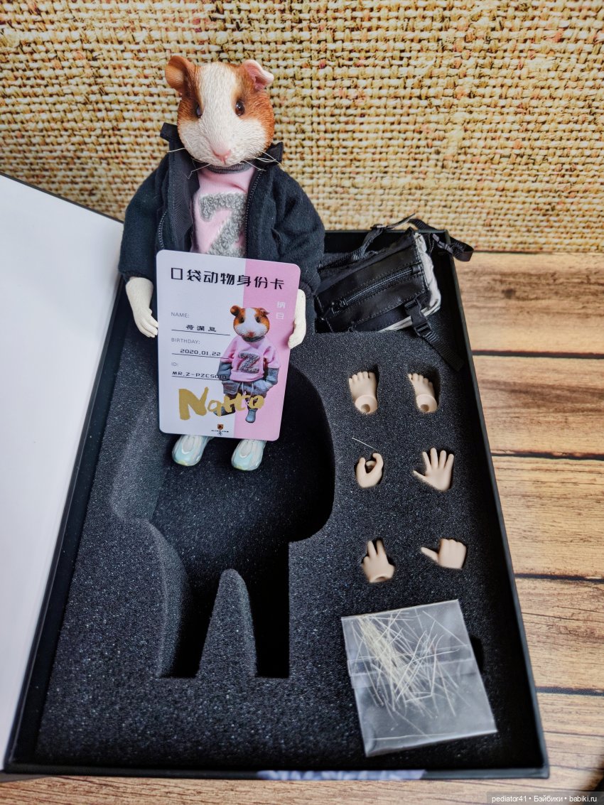 Морской свин Густав — Коллекции шарнирных (фото 3)