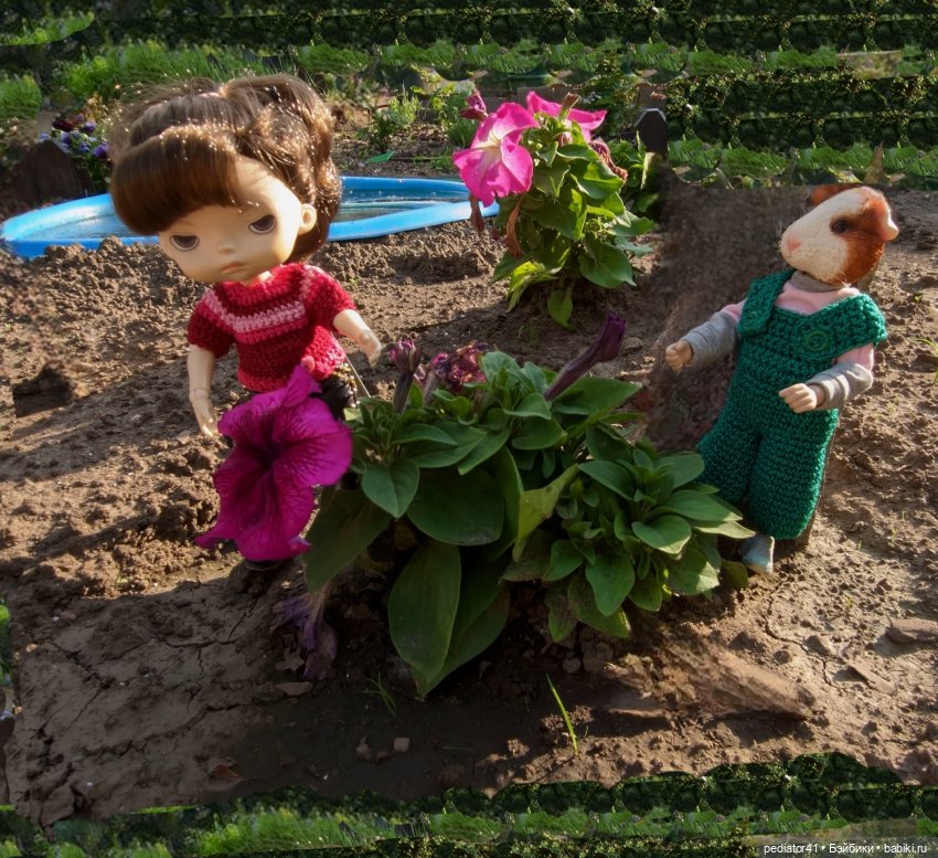 Загородная жизнь морского свина Густава