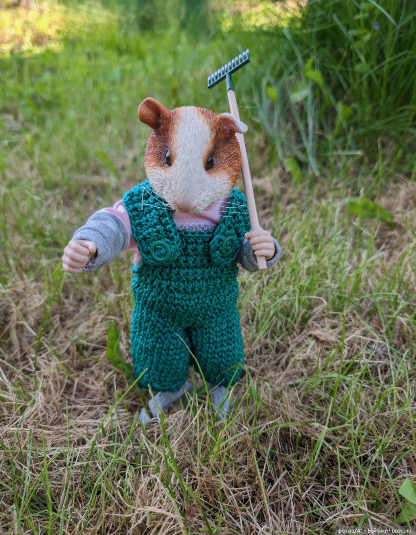 Загородная жизнь морского свина Густава (фото 3)