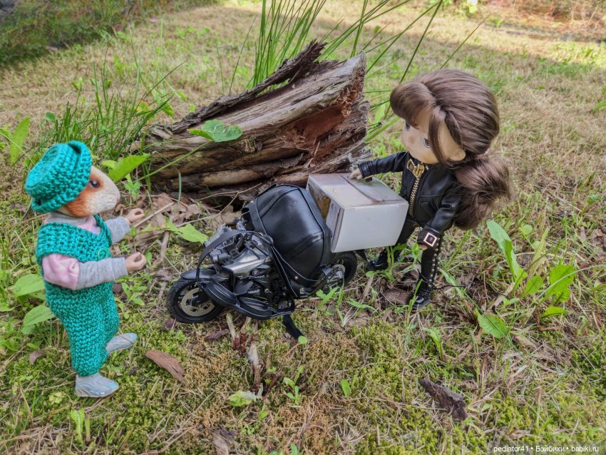 Загородная жизнь морского свина Густава (фото 10)