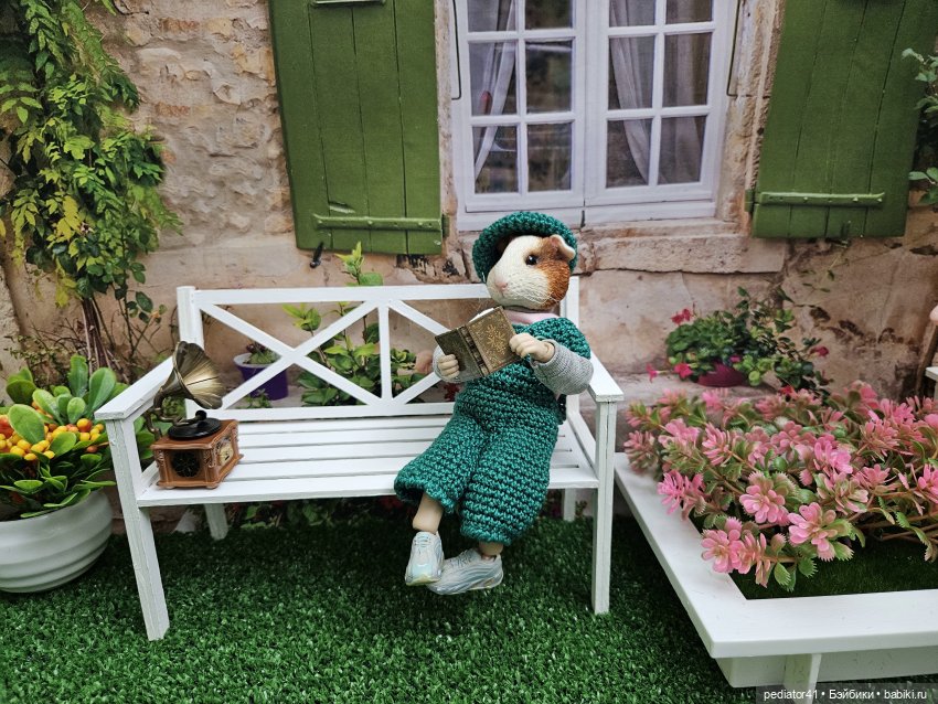 Загородная жизнь морского свина Густава