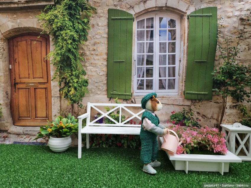 Загородная жизнь морского свина Густава (фото 2)