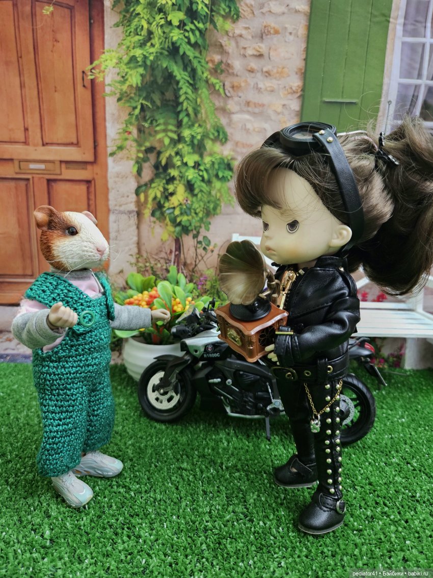 Загородная жизнь морского свина Густава