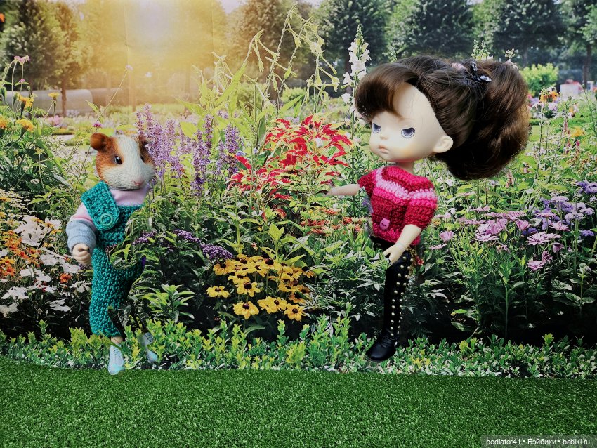 Загородная жизнь морского свина Густава