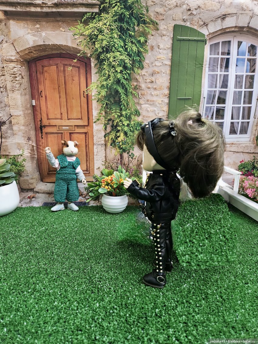 Загородная жизнь морского свина Густава