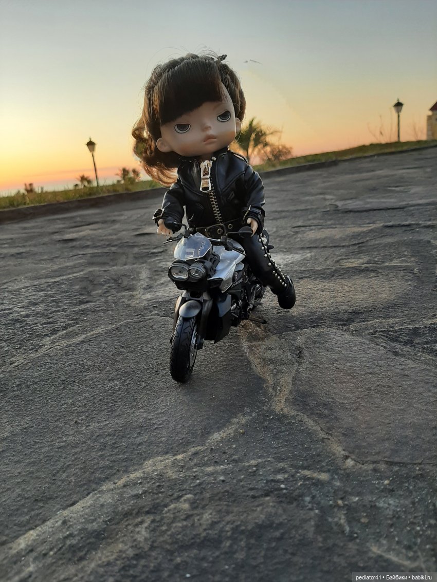 Загородная жизнь морского свина Густава (фото 6)