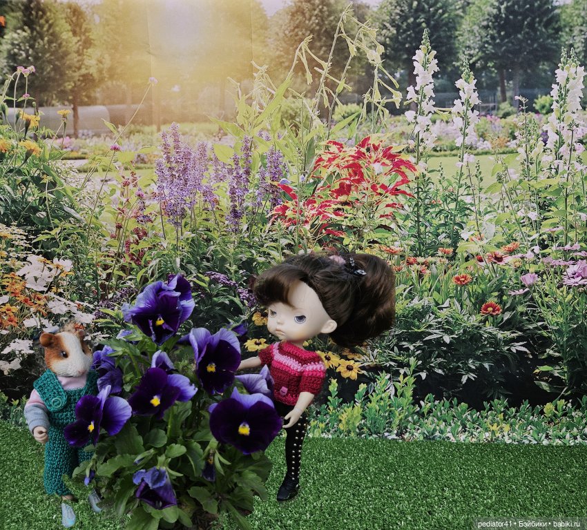 Загородная жизнь морского свина Густава