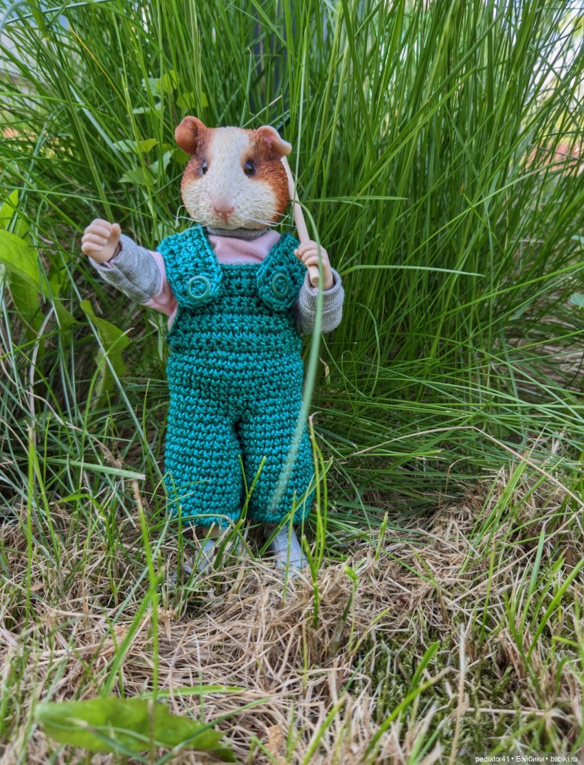 Загородная жизнь морского свина Густава