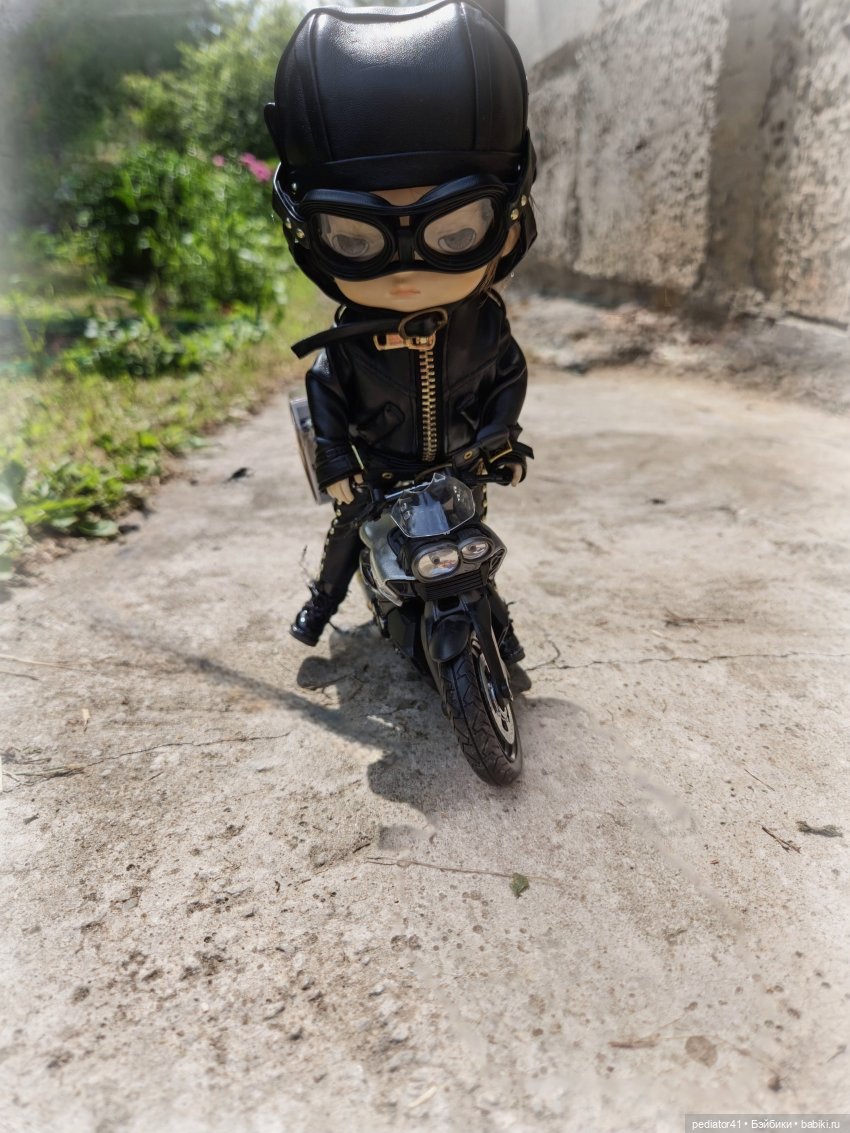 Загородная жизнь морского свина Густава (фото 7)