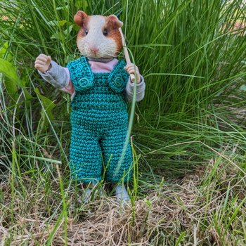 Загородная жизнь морского свина Густава