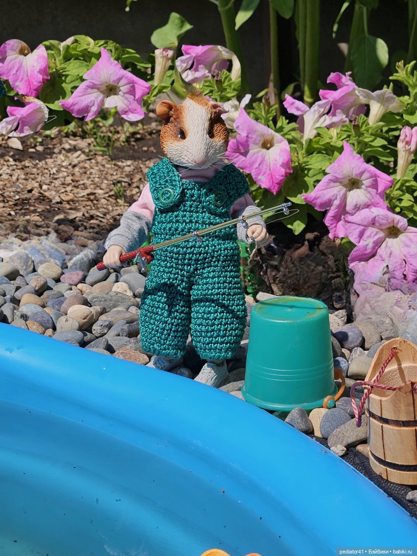 Рыбалка морского свина Густава (фото 5)