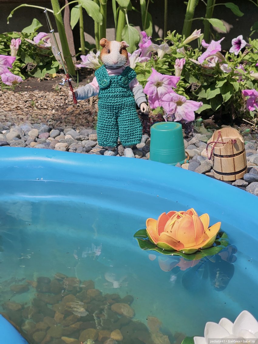 Рыбалка морского свина Густава (фото 4)