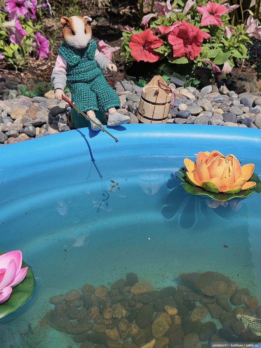 Рыбалка морского свина Густава (фото 6)