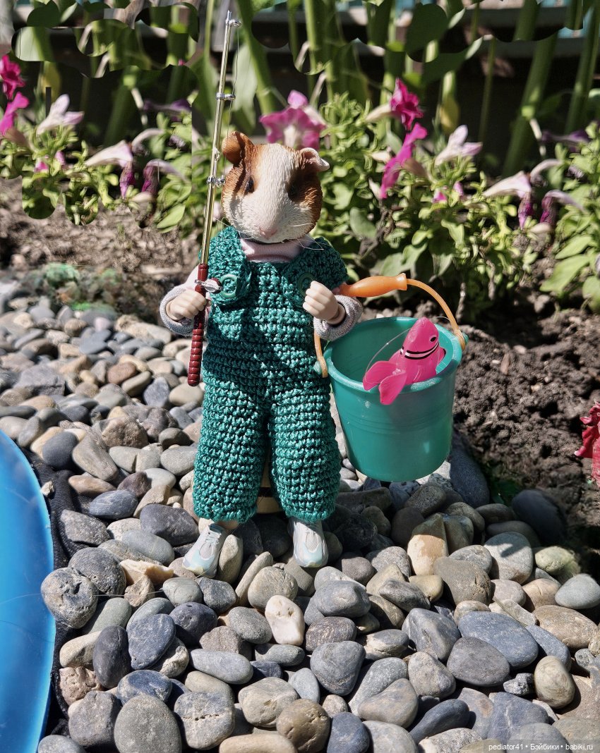 Рыбалка морского свина Густава