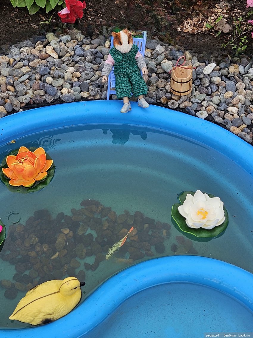 Рыбалка морского свина Густава (фото 2)