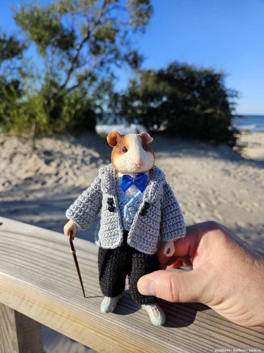 Каникулы морского свина Густава (фото 3)