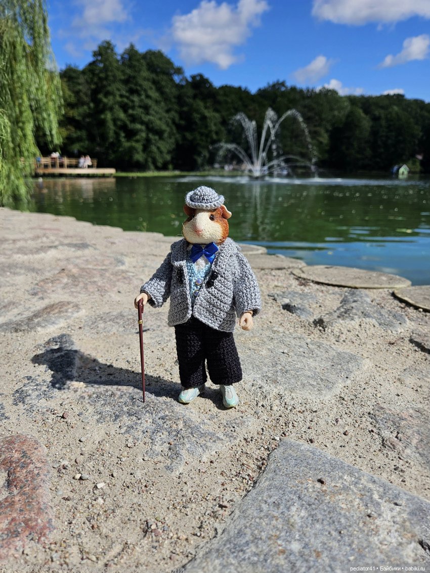 Каникулы морского свина Густава (фото 6)